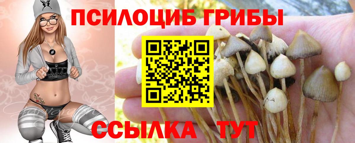 Первоуральск  Галлюциногенные грибы Psilocybe  хочу наркоту  Вход с VPN 